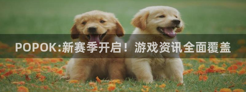 多彩娱乐网页登录入口：POPOK:新赛季开启！游戏资讯全面覆