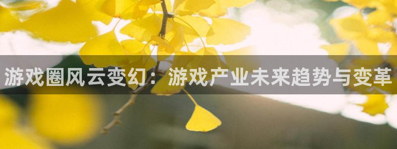 多彩娱乐平台负责人：游戏圈风云变幻：游戏产业未来趋势与变革