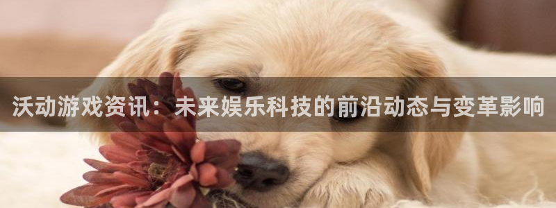 多彩娱乐app：沃动游戏资讯：未来娱乐科技的前沿动态与变革影