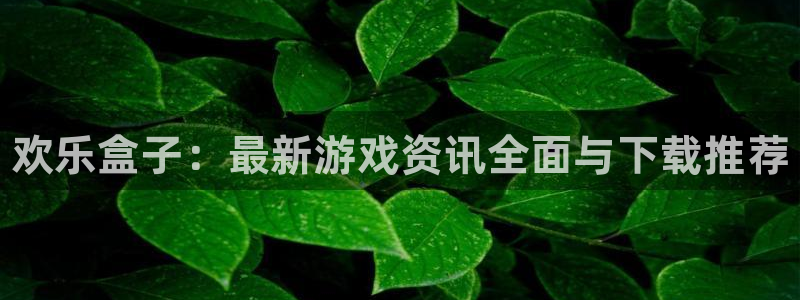 多彩娱乐怎么注册：欢乐盒子：最新游戏资讯全面与下载推荐