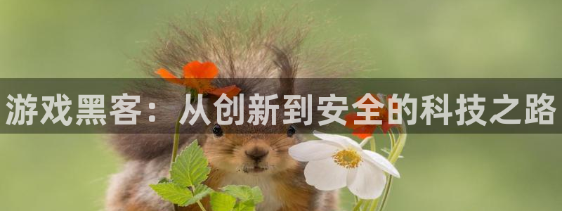 沐春多彩娱乐：游戏黑客：从创新到安全的科技之路