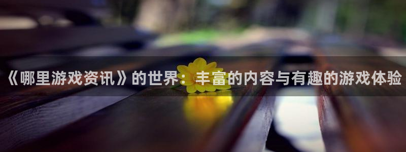 多彩娱乐平台登录入口：《哪里游戏资讯》的世界：丰富的内容与有