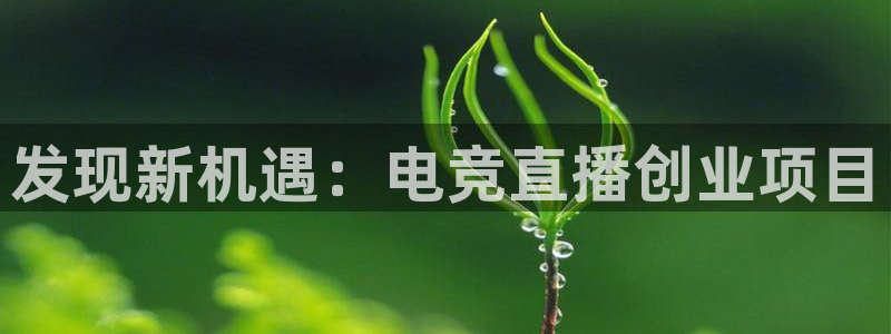 多彩娱乐的意思：发现新机遇：电竞直播创业项目