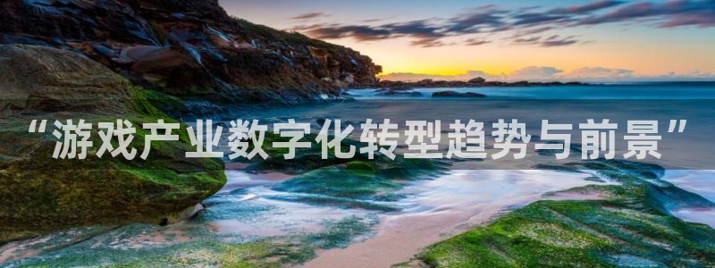 多彩娱乐官网登录：“游戏产业数字化转型趋势与前景”