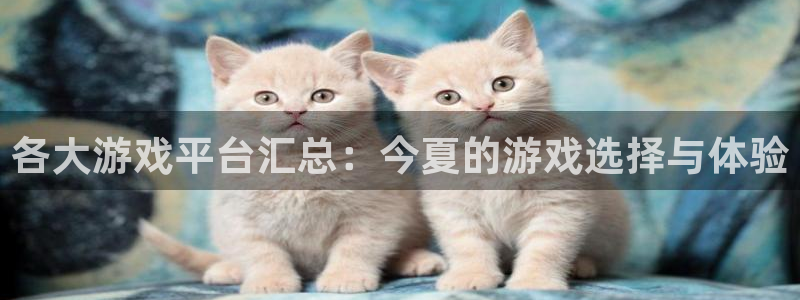 多彩娱乐注册登录：各大游戏平台汇总：今夏的游戏选择与体验