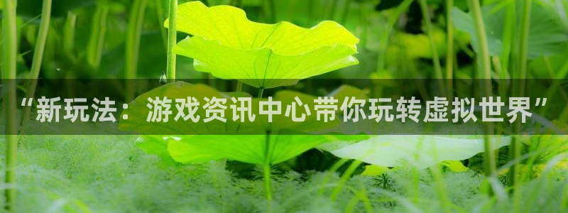 多彩娱乐注册网站：“新玩法：游戏资讯中心带你玩转虚拟世界”