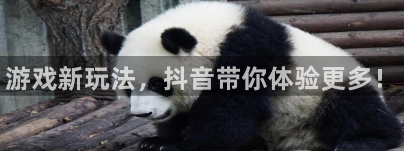 多彩娱乐官方平台：游戏新玩法，抖音带你体验更多！