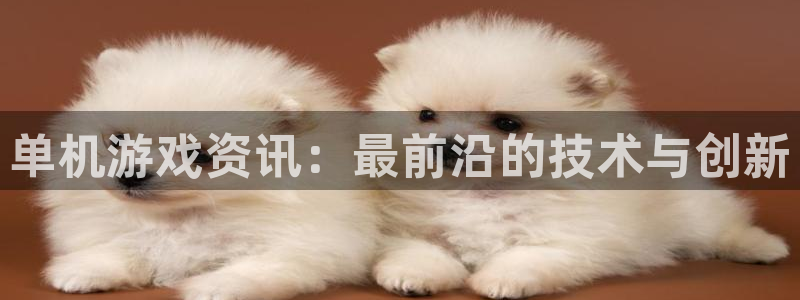 多彩娱乐平台：单机游戏资讯：最前沿的技术与创新
