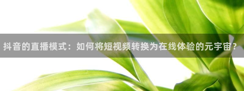 极速体育nba免费直播高清观看