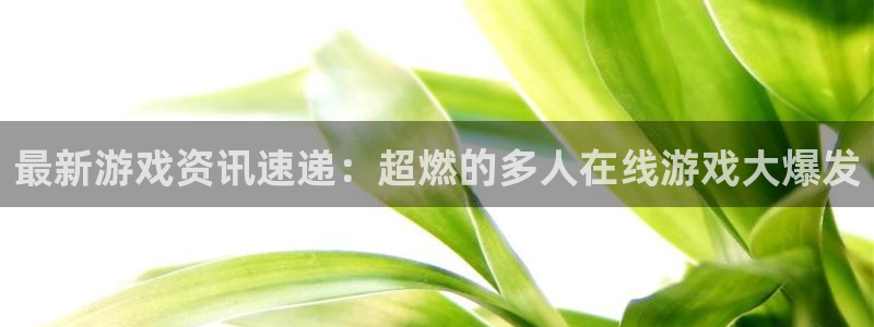 多彩娱乐官方注册登录：最新游戏资讯速递：超燃的多人在线游戏大